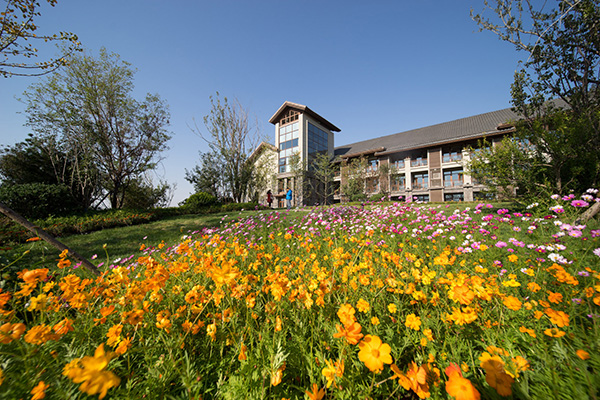 1743572850927500.jpg 图片1.jpg