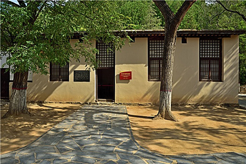 1749784268120443.jpg QJ91319282912.jpg